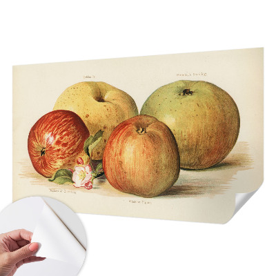 Savaime lipnus fototapetas Ebleblomsteris