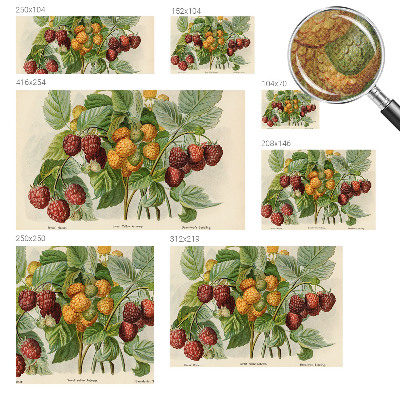 3D fototapetas Klasikiniai užpakaliniai