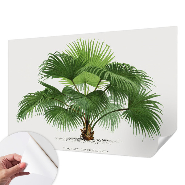 Tapetai su egzotišku palmės motyvu