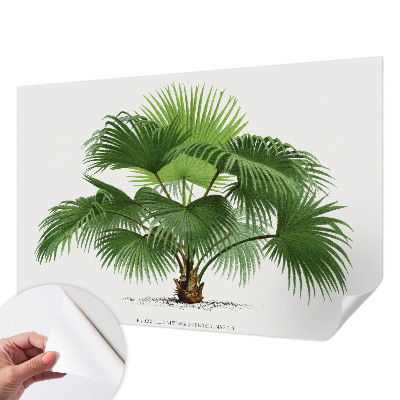 Tapetai su egzotišku palmės motyvu