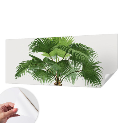 Tapetai su egzotišku palmės motyvu