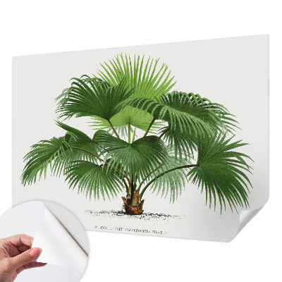 Tapetai su egzotišku palmės motyvu