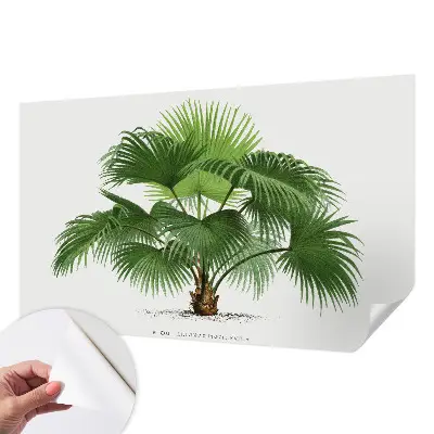 Tapetai su egzotišku palmės motyvu