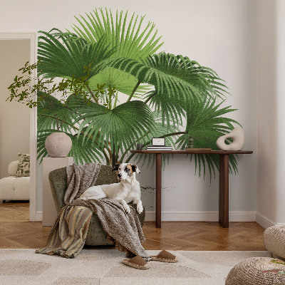 Tapetai Egzotiška palmė