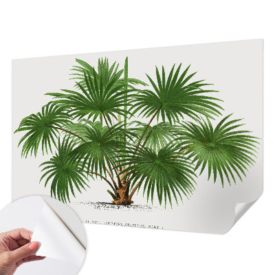 Savaime lipnus fototapetas Egzotiškas monstras