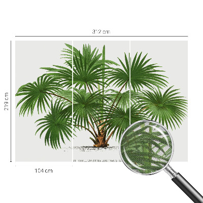 Savaime lipnus fototapetas su egzotiško monstro motyvu