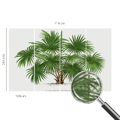 Savaime lipnus fototapetas su egzotiško monstro motyvu