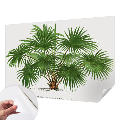 Savaime lipnus fototapetas Egzotiškas monstras