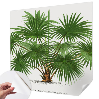 Savaime lipnus fototapetas Egzotiškas monstras