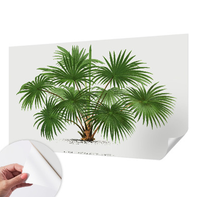 Savaime lipnus fototapetas Egzotiškas monstras