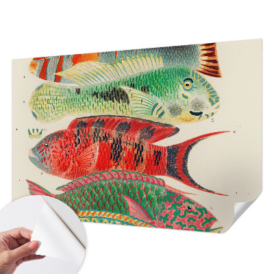 3D fototapetas sienoms su egzotine žuvimi