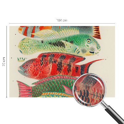 3D fototapetas sienoms su egzotine žuvimi