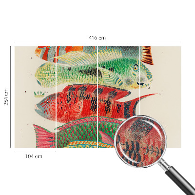 3D fototapetas sienoms su egzotine žuvimi