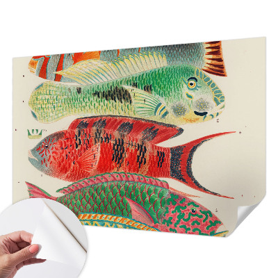 3D fototapetas sienoms su egzotine žuvimi