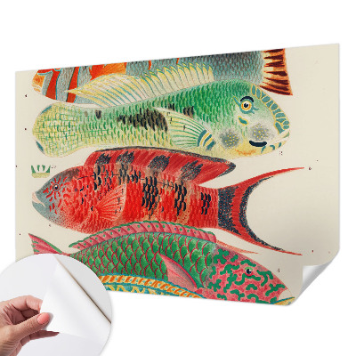 3D fototapetas sienoms su egzotine žuvimi