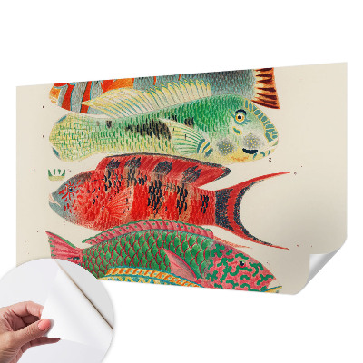 3D fototapetas sienoms su egzotine žuvimi