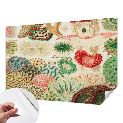 Fototapetas vaiko kambariui Organų formavimo priemonė