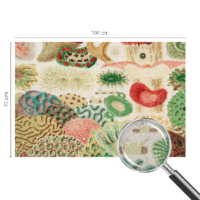 Fototapetas vaiko kambariui Organų formavimo priemonė