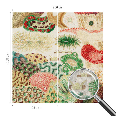 Fototapetas vaiko kambariui Organų formavimo priemonė