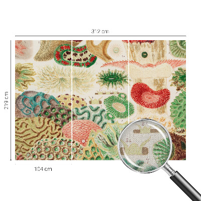 Fototapetas vaiko kambariui Organų formavimo priemonė