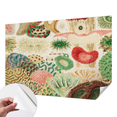 Fototapetas vaiko kambariui Organų formavimo priemonė