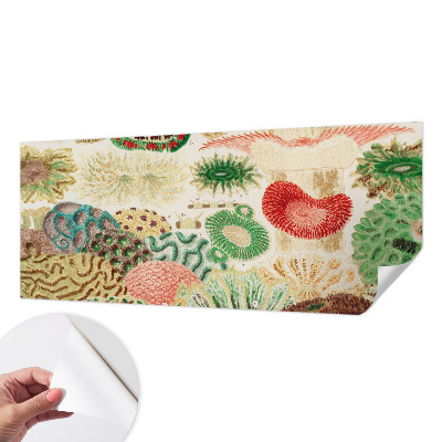 Fototapetas vaiko kambariui Organų formavimo priemonė