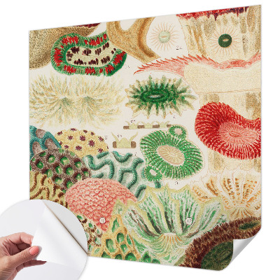 Fototapetas vaiko kambariui Organų formavimo priemonė