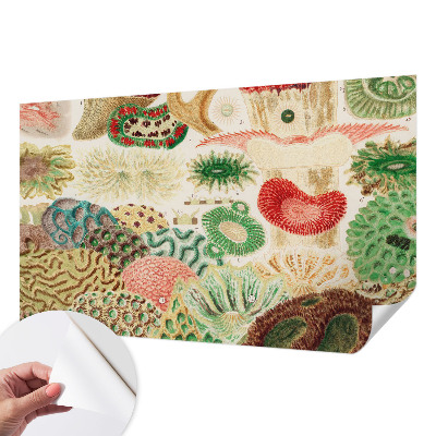 Fototapetas vaiko kambariui Organų formavimo priemonė