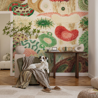 Fototapetas vaiko kambariui Organų formavimo priemonė