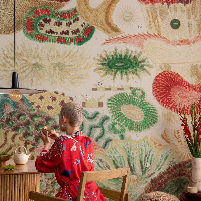 Fototapetas vaiko kambariui Organų formavimo priemonė