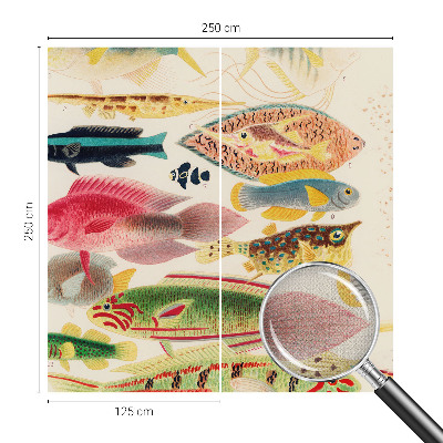 Fototapetas vaikams Spalvinga žuvis