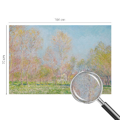 Tapetai Forårparken