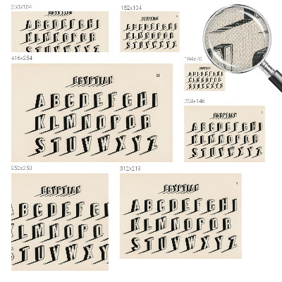 Fototapetas vaikams Vintažinių šakniavaisių