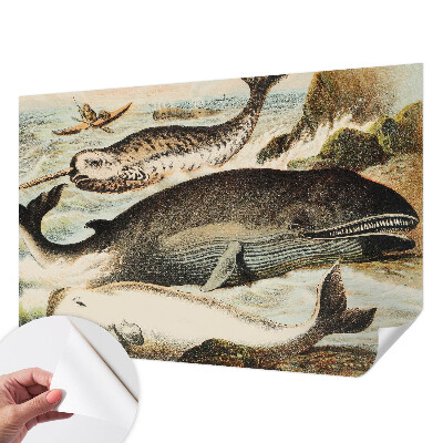 Fototapetas vaikams Havgiganter