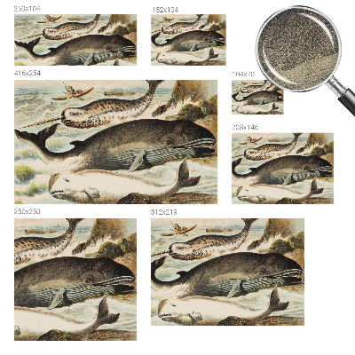 Fototapetas vaikams Havgiganter