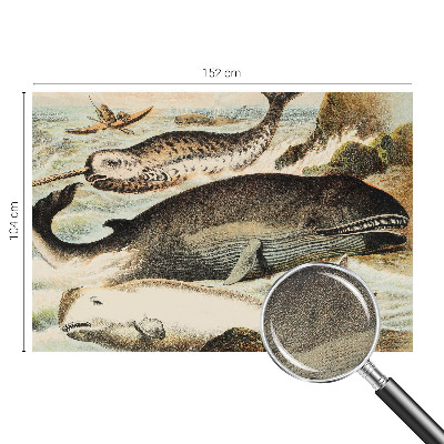 Fototapetas vaikams Havgiganter