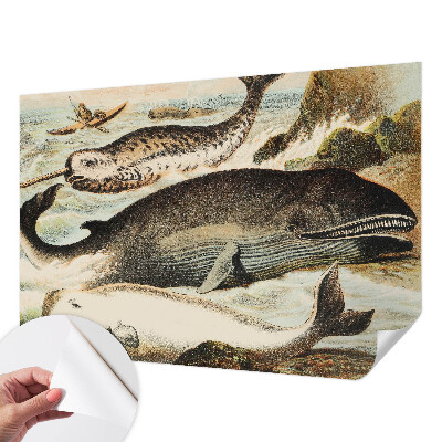 Fototapetas vaikams Havgiganter