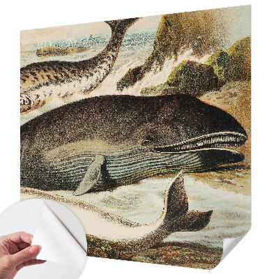 Fototapetas vaikams Havgiganter