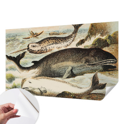 Fototapetas vaikams Havgiganter