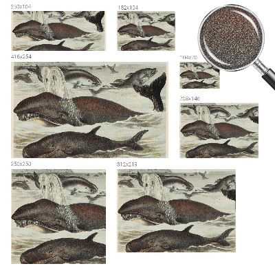 Fototapetai Havdyras