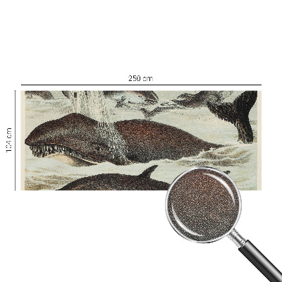 Fototapetai Havdyras