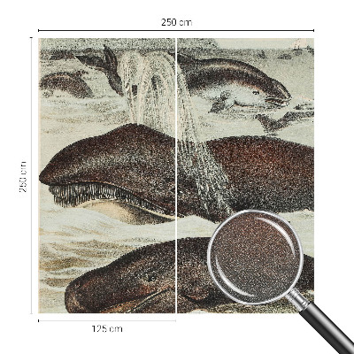 Fototapetai Havdyras