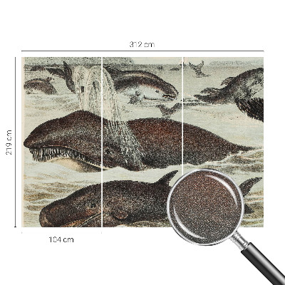 Fototapetai Havdyras