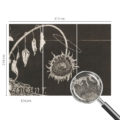 3D fototapetas Nostalgiškos saulėlydžio