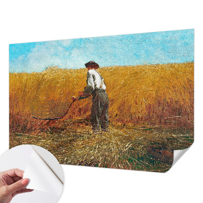 Fototapetas vaikams Aukštyn ir saulė