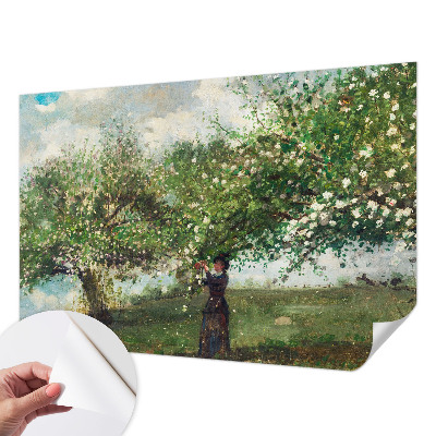 Savaime lipnus fototapetas Forårscene