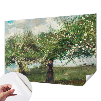 Savaime lipnus fototapetas Forårscene