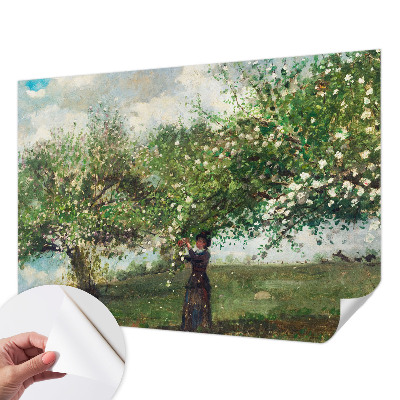 Savaime lipnus fototapetas Forårscene