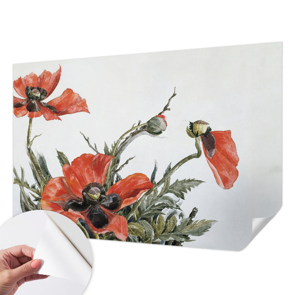Fototapetas vaikams su raudonomis aguonomis