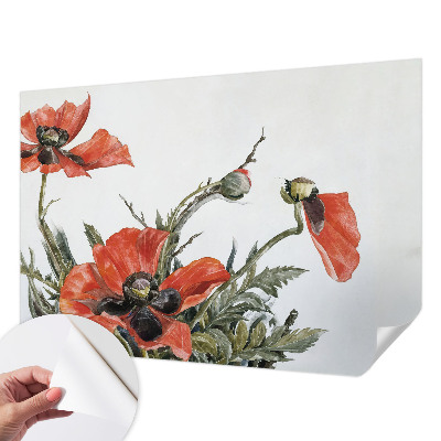 Fototapetas vaikams su raudonomis aguonomis